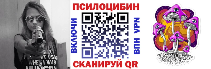 нарко площадка формула  Вольск  Псилоцибиновые грибы GOLDEN TEACHER 