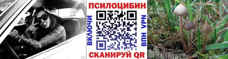 Псилоцибиновые грибы MAGIC MUSHROOMS Вольск