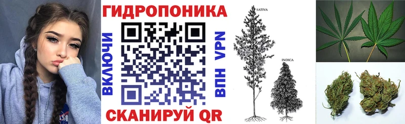 купить закладку  Вольск  OMG зеркало  Бошки марихуана сатива 